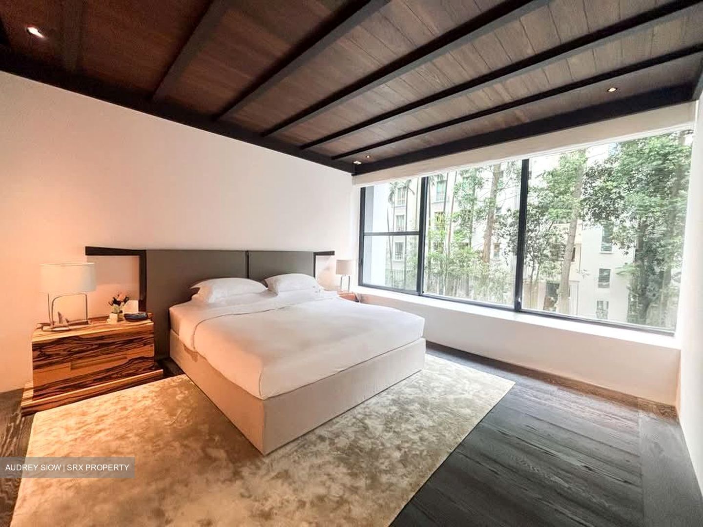 21 Anderson (D10), Condominium #592513511